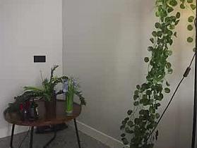 forestproject Cam