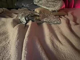 hawt_ass_milf Cam